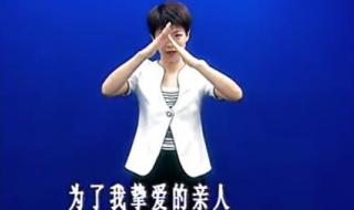 我真的很不错手语操