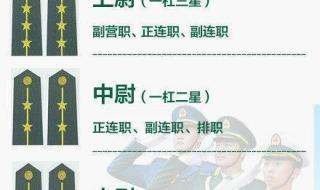 两杠三星是什么级别