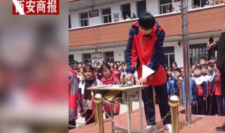 学校组织学生砸手机