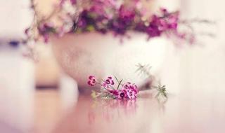 双鱼座女生最配星座