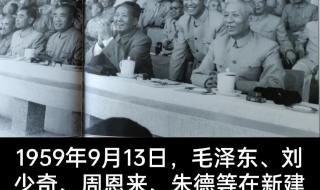 二为方向和双百方针