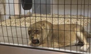 一生只爱你一次歌曲