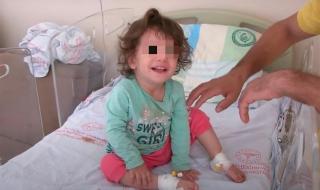 女童遭蛇咬后咬死蛇