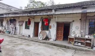 穿越嫁给山里多弟兄