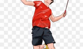 羽毛球奥运 羽毛球奥运