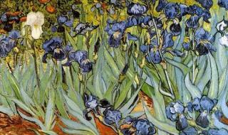 你是我的兄弟里,老二唱的那句(不是我不明白,这世界变化快)是什么歌呀 我不是老二