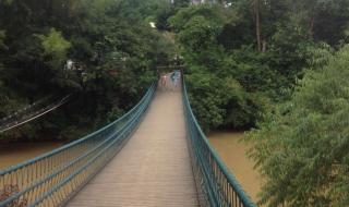 良凤江国家森林公园