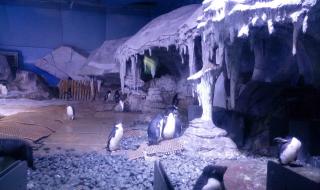 武汉海洋世界 武汉海洋世界