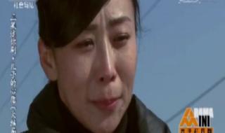 普法栏目剧回家全集