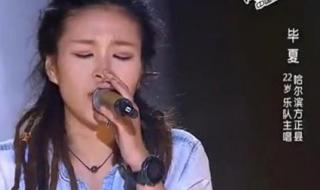 中国好声音叶玮庭