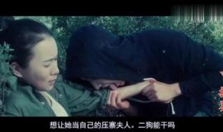 我的僵尸王爷小说