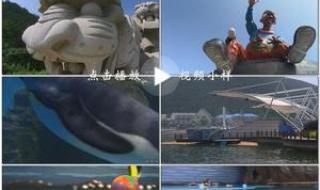 大连极地海洋动物馆