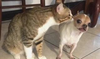 我就是要你叫出声来 我就是要你叫出声来