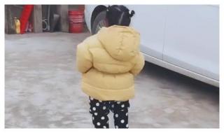 脱缰野马是什么意思