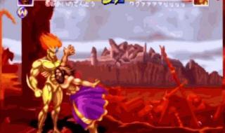 世界十大格斗赛事