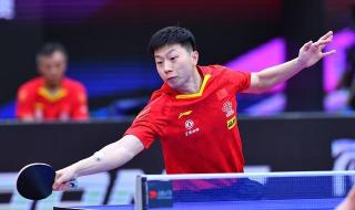 竞技体育包括哪些