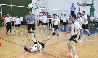 2023年国内外体育赛事