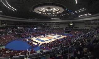 2o23年世界女排联赛